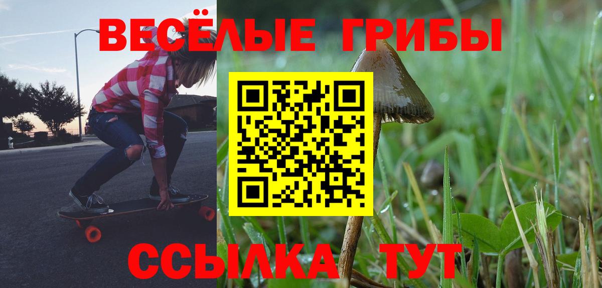 Галлюциногенные грибы Psilocybine cubensis Советск