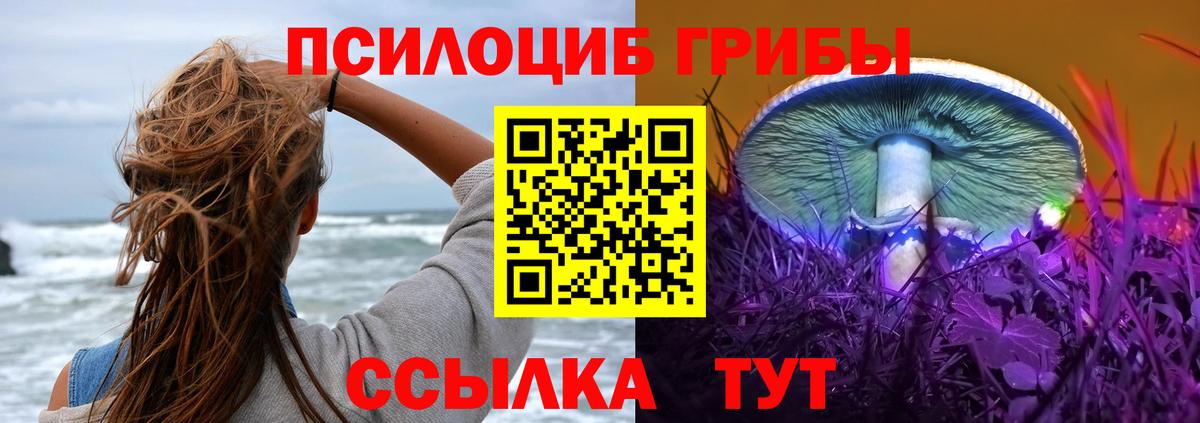 Советск  Псилоцибиновые грибы GOLDEN TEACHER  Галлюциногенные грибы Cubensis  Вход с VPN 